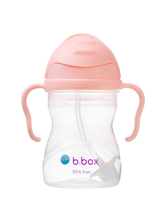 b.box Sippy Cup, Drink from any Angle, Fliptop, Weighted Straw, Leak Proof & Easy Grip, BPA Free, Dishwasher safe, From 6m+, 240ml/8 oz (Tutti Frutti) - Image 1