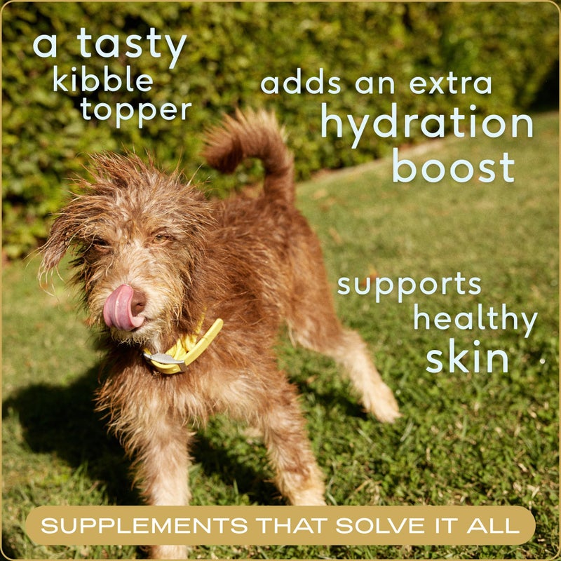 Native Pet Bone Broth for Dogs and Cats - Chicken Bone Broth Powder Dog Food Toppers for Picky Eaters - Provides Extra Nutrition for Joint Strength, Immune Support & Heart Health - 48 Scoops - Image 2