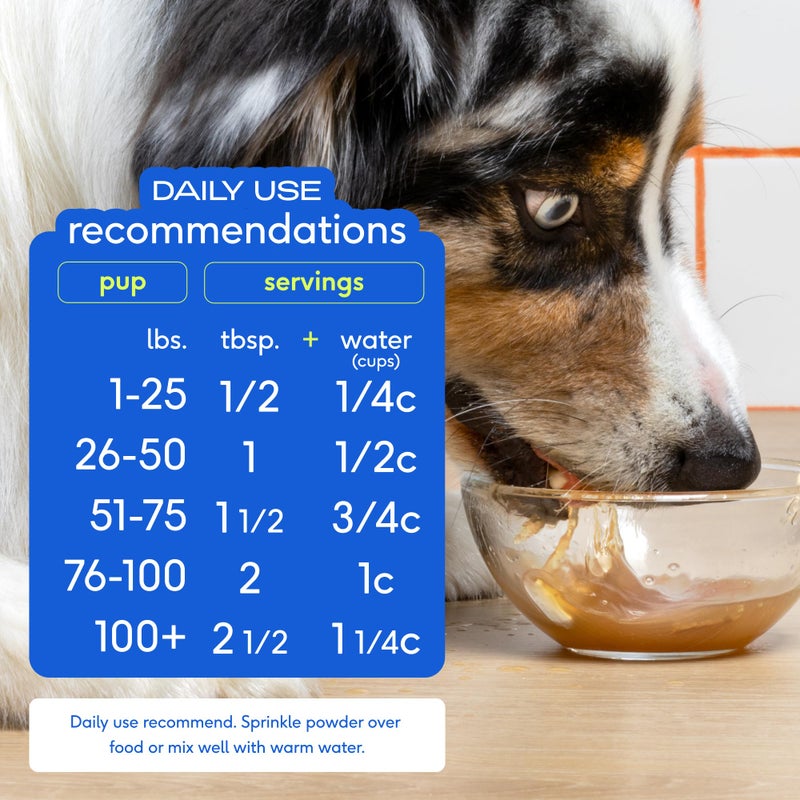 Native Pet Bone Broth for Dogs and Cats - Chicken Bone Broth Powder Dog Food Toppers for Picky Eaters - Provides Extra Nutrition for Joint Strength, Immune Support & Heart Health - 48 Scoops - Image 4