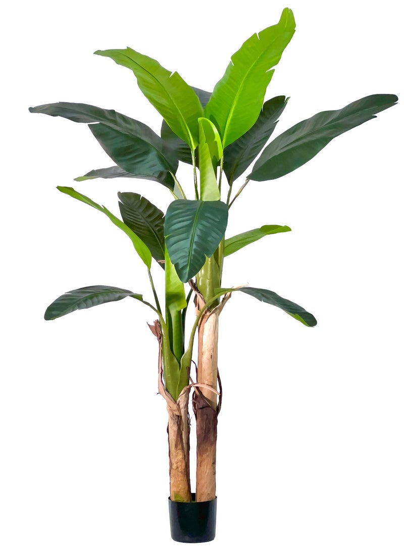 MirageBotanics 160cm Artificial Banana Tree Artificial Leaf Plant Tall Tree Faux Banana Leaves with Black UV Planter for Home Swimming Pool Outdoor Patio Tropical Decor - Image 1