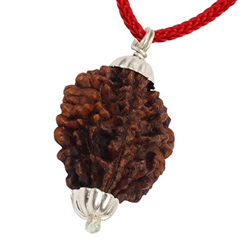 ASTRODIDI 2 Mukhi Rudraksha Original Certified Two Face Silver Coated Pendant | Astrological Benefits and Positive Energy | Unisex Design for Men & Women - Image 3