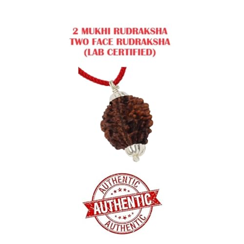 ASTRODIDI 2 Mukhi Rudraksha Original Certified Two Face Silver Coated Pendant | Astrological Benefits and Positive Energy | Unisex Design for Men & Women - Image 4