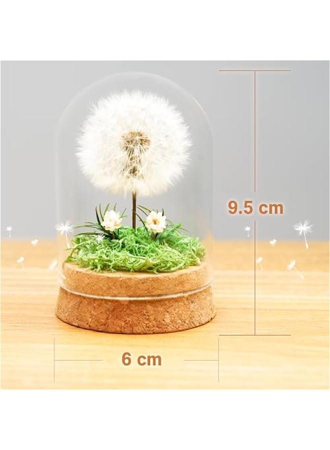 Generic Wunscherfüller Dandelion in Glass - Special Gift Idea, Birthday Gift for Women, Lucky Charm and Small Item for Girlfriend, Decorative Gifts in Glass, Flowers Gift  - Image 3
