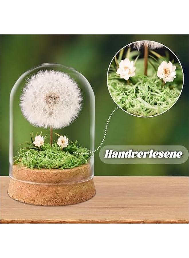 Generic Wunscherfüller Dandelion in Glass - Special Gift Idea, Birthday Gift for Women, Lucky Charm and Small Item for Girlfriend, Decorative Gifts in Glass, Flowers Gift  - Image 4