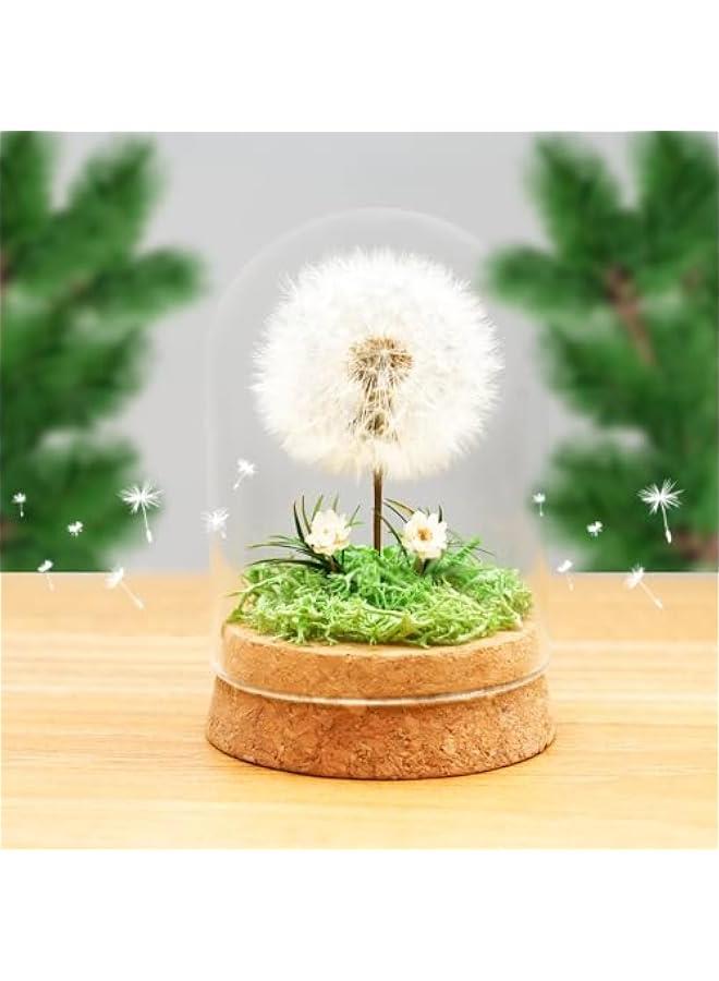 Generic Wunscherfüller Dandelion in Glass - Special Gift Idea, Birthday Gift for Women, Lucky Charm and Small Item for Girlfriend, Decorative Gifts in Glass, Flowers Gift  - Image 5