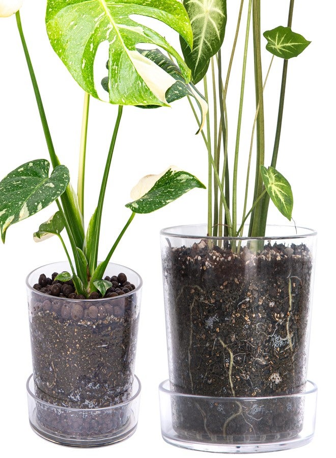 Phoenix Vine 6.5 Inch 8 Inch Clear Acrylic Houseplants Planter Pot with Tray, Orchid Pot with Drainage Holes, Deep Saucer for Bottom Watering, Transparent Containers for Indoor Plants, Herbs, 91-B-Z - Image 1