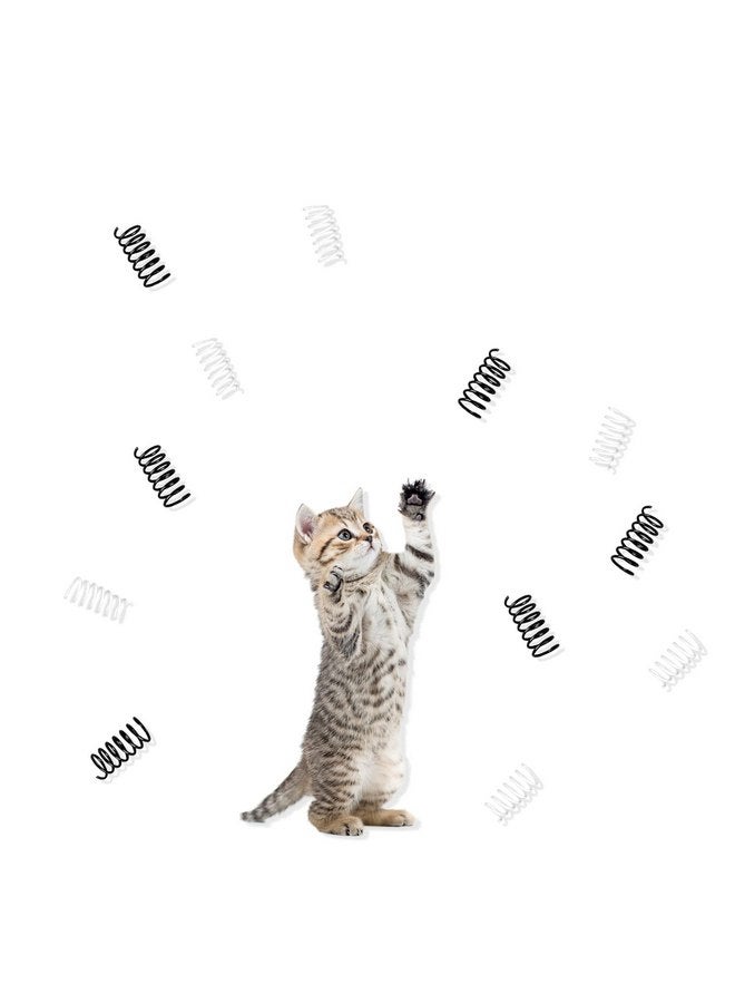 Andiker Cat Springs for Indoor Cats, 12Pc Cat Creative Toy to Kill Time&Keep Fit Interactive Cat Toy Black&White Springs Cat Toy for Biting(Black+White) - Image 1