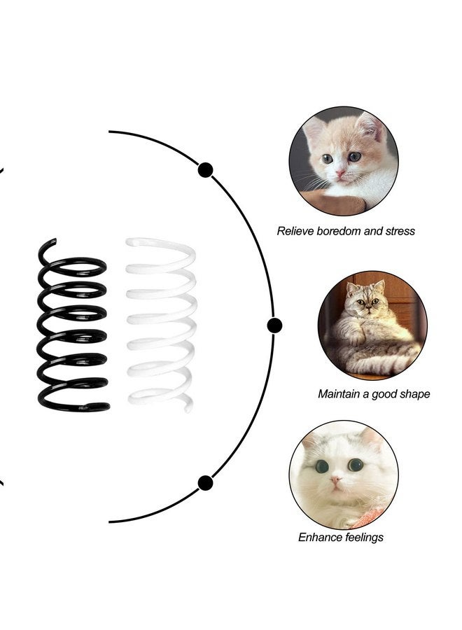 Andiker Cat Springs for Indoor Cats, 12Pc Cat Creative Toy to Kill Time&Keep Fit Interactive Cat Toy Black&White Springs Cat Toy for Biting(Black+White) - Image 2