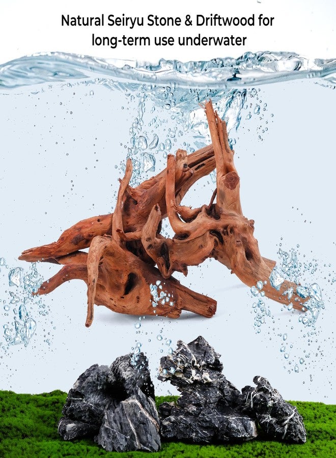 FISCAPE Aquarium Rocks & Driftwood Decor Kit, 2-8 Inches Natural Seiryu Stone 4 PCS for Aquascaping, 6-10 Inches Natural Driftwood 2 PCS for Fish Tank Decoration, Reptile and Amphibian Enclosures - Image 5