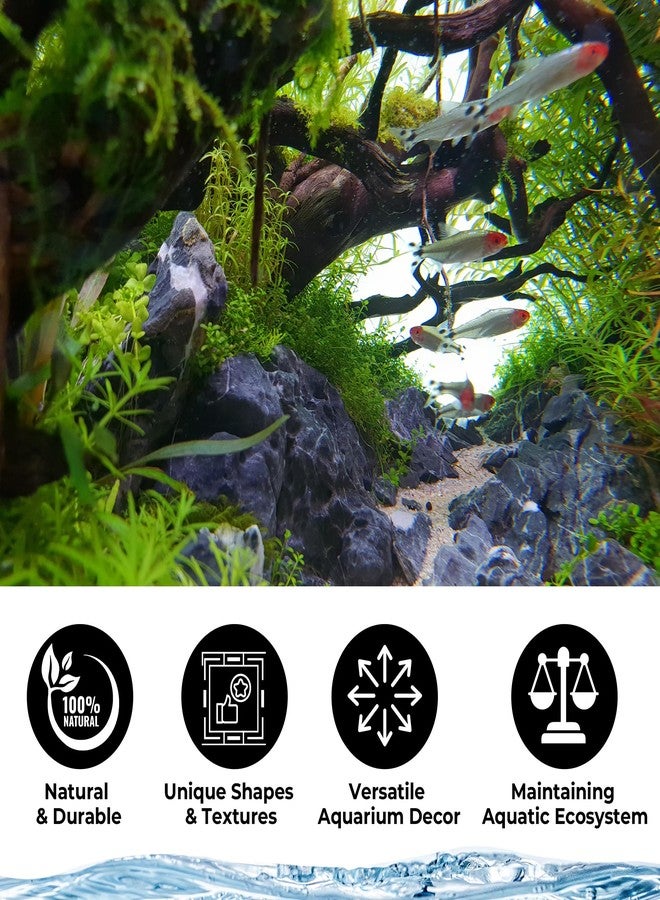 FISCAPE Aquarium Rocks & Driftwood Decor Kit, 2-8 Inches Natural Seiryu Stone 4 PCS for Aquascaping, 6-10 Inches Natural Driftwood 2 PCS for Fish Tank Decoration, Reptile and Amphibian Enclosures - Image 4