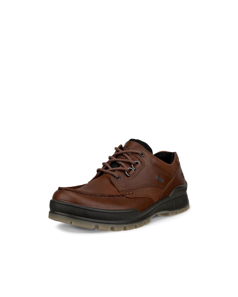 حذاء ECCO للرجال للمشي منخفض 25 بوصة GoreTEX مقاوم للماء جلد بيسون كامل الحبة 12125