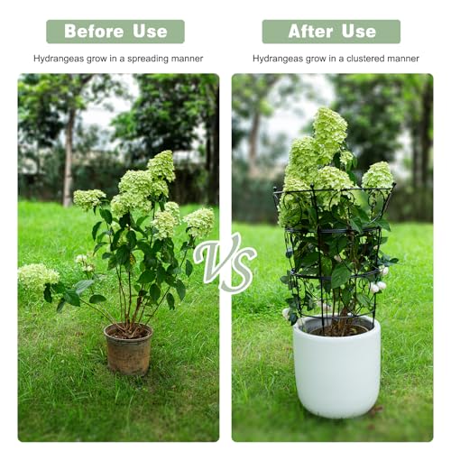 Goooxim Large Obelisk Trellis Peony Cage 24.6x17 Inches - Premium Metal Plant Support for Outdoor Gardens, Easy Assembly, Sturdy Design, Perfect for Climbing Plants - Image 4