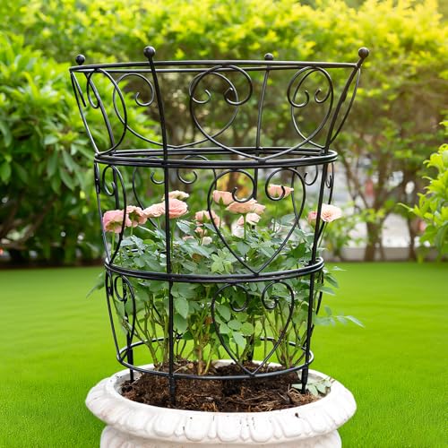 Goooxim Large Obelisk Trellis Peony Cage 24.6x17 Inches - Premium Metal Plant Support for Outdoor Gardens, Easy Assembly, Sturdy Design, Perfect for Climbing Plants - Image 1
