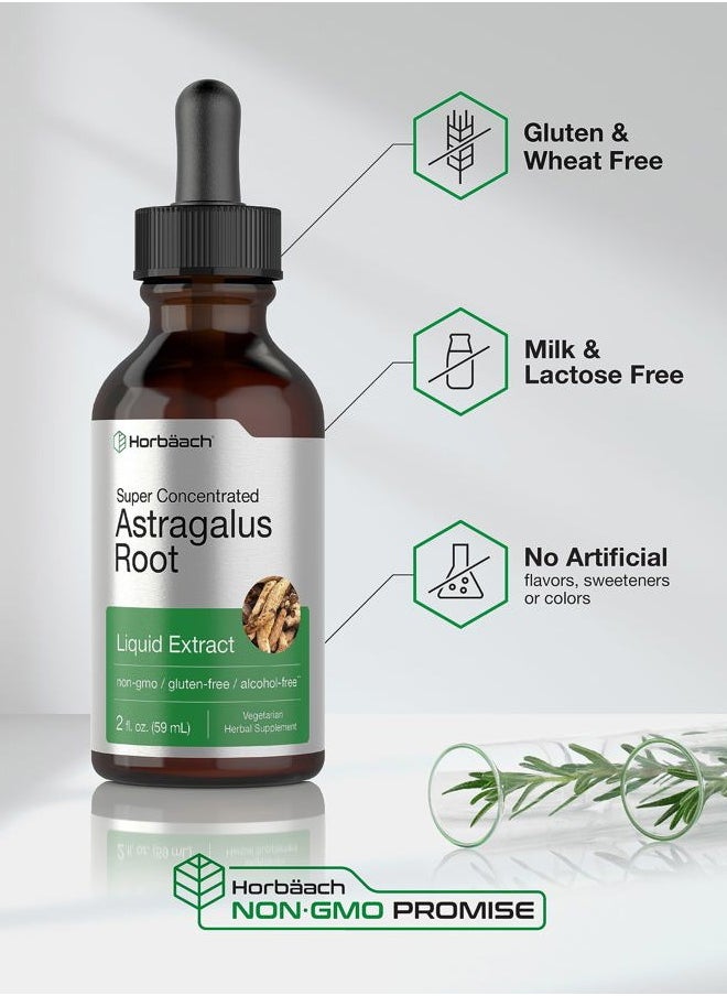 Horbäach Astragalus Root Extract Liquid | 2 fl oz | Alcohol Free Tincture | Super Concentrated | Vegetarian, Non-GMO, Gluten Free Supplement  - Image 4