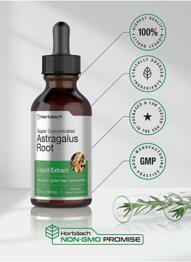 Horbäach Astragalus Root Extract Liquid | 2 fl oz | Alcohol Free Tincture | Super Concentrated | Vegetarian, Non-GMO, Gluten Free Supplement  - Image 5