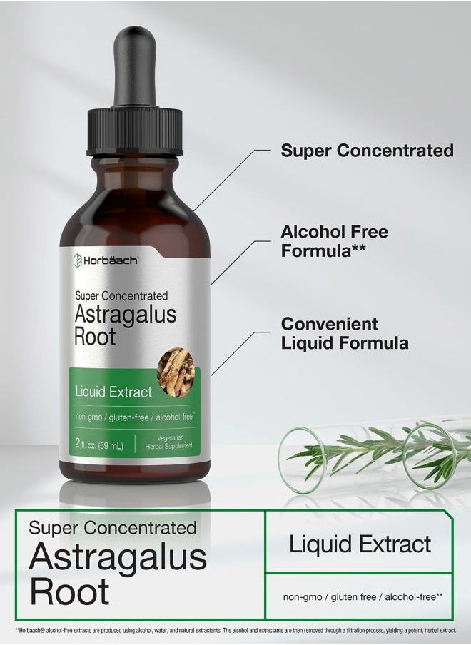 Horbäach Astragalus Root Extract Liquid | 2 fl oz | Alcohol Free Tincture | Super Concentrated | Vegetarian, Non-GMO, Gluten Free Supplement  - Image 3