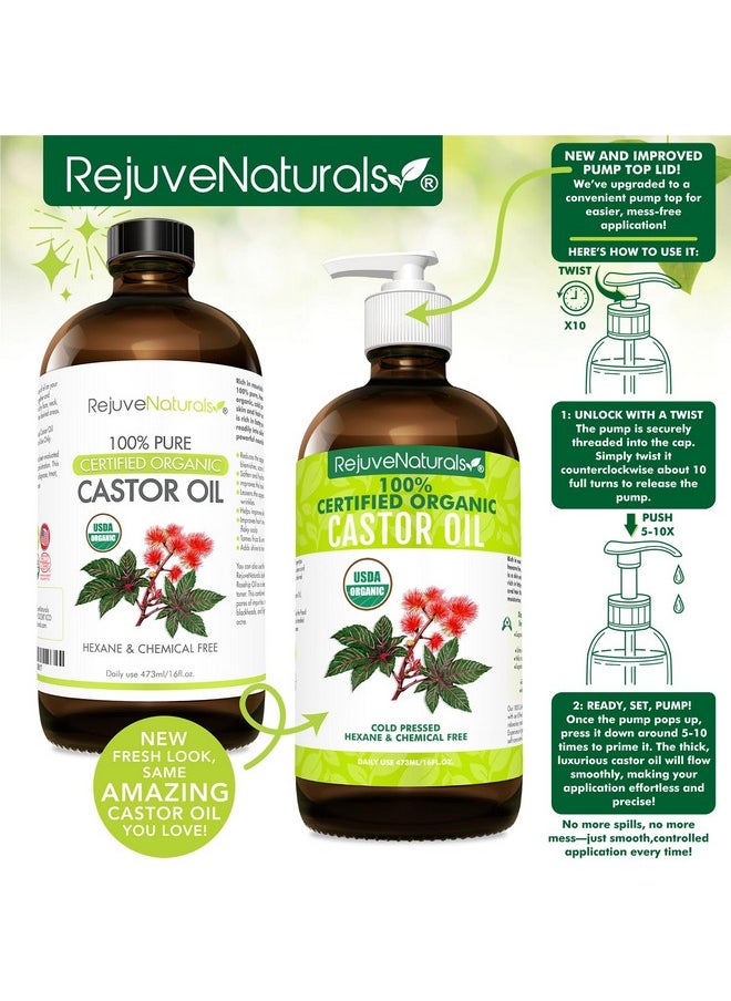 RejuveNaturals RejuveNaturals Castor Oil (16oz Glass Bottle) USDA Certified Organic, 100% Pure, Cold Pressed, Hexane Free. Boost Hair Growth for Thicker, Fuller Hair, Lashes & Eyebrows.  - Image 2