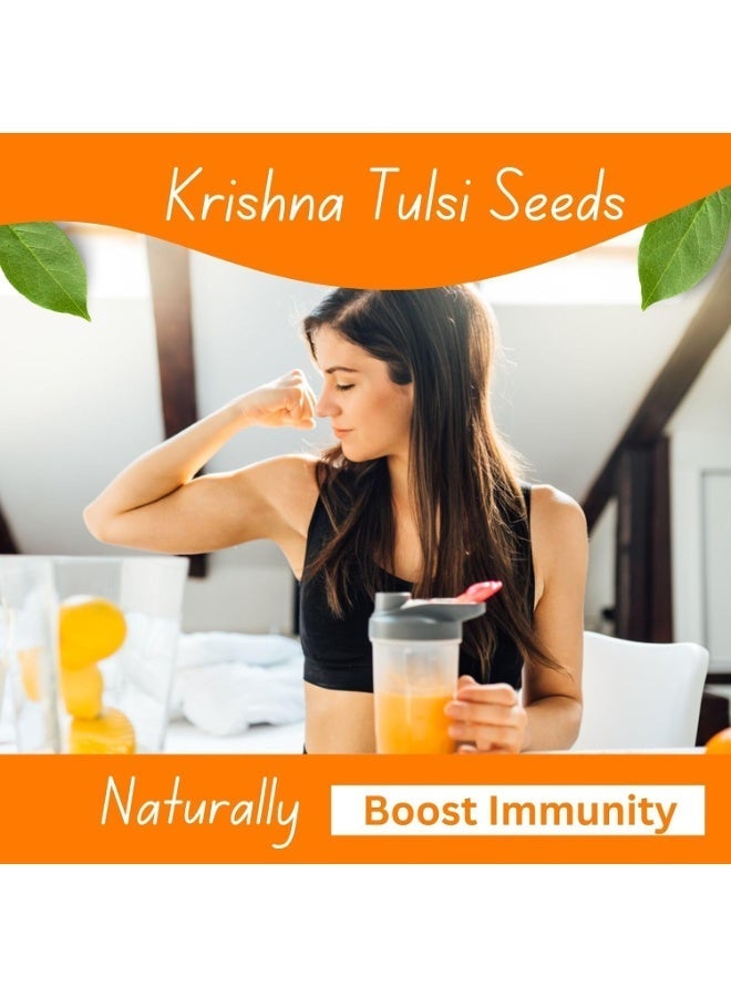 Brijbooti Krishna Tulsi Seeds for Eating - Shyama Black Tulsi - 400g - Image 2