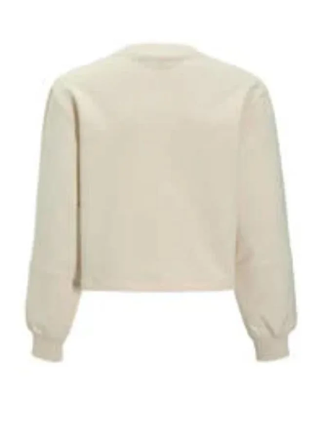 Calvin Klein Jeans Whitecap Gray Youth Logo Folded Pullover Sweatshirt for Women | Best Price UAE
