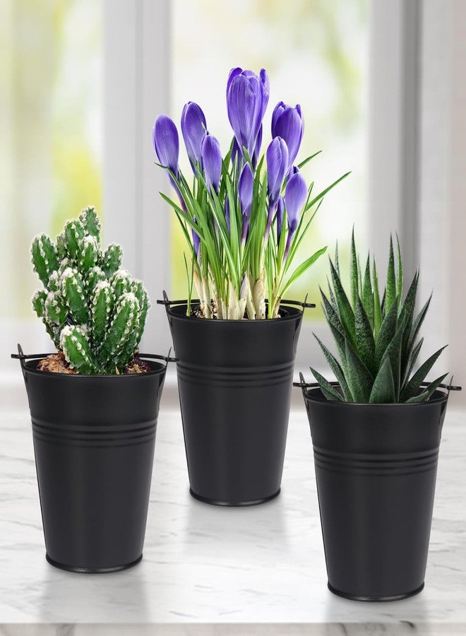 GENHAKON 15 Pack 4 Inch Black Iron Pail, Metal Buckets with Handle, Easter Bucket,Pencil Holder and Flower Pots, Used to Carry, Store, or Even Plant, by GENHAKON. - Image 4