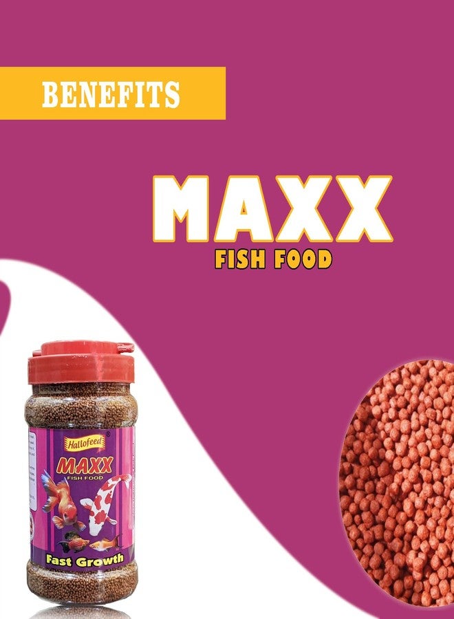 Hallofeed Fisher Men Hallofeed Special Maxx Dried Fish Food: Specifically for Young Stages of All Fish Species, Promoting Growth and Development | 360g - Image 2