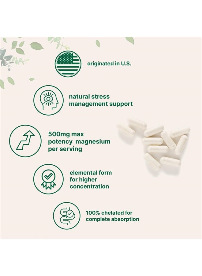 Micro Ingredients مغنيسيوم جليسينات 500 ملغ لكل حصة، 240 كبسولة | شكل عنصر قوي، 100% مخلب، امتصاص عالي | مكمل دعم صحي للعضلات والعظام والمزاج | غير معدّل وراثيًا - Image 3