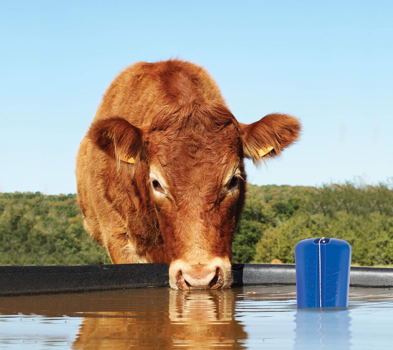 Watts APEX XF Series 1-3/4" XtraFlo Black Plastic Armless Full-Flow Diaphragm Activated Trough Float Valve with Float, UV Stabilized Glass Fiber Reinforced Nylon, Agriculture & Irrigation - Image 5