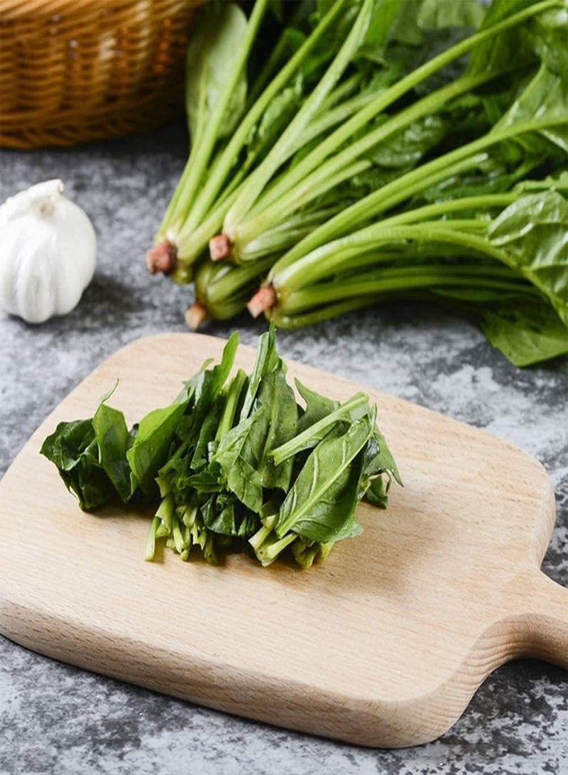 GGOOT 300Stück Spinatsamen Geeignet für Anfänger Einfache Kultivierung Starke Anpassungsfähigkeit Hauptkulturen Gemüse Sehr beliebt Gartenpflanzung Einfache Keimung - Image 2