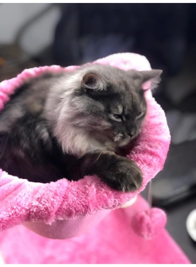 2-in-1 Cat Bed & Scratcher – Handmade Durable & Safe Cat Lounger – All-Season Indoor Cozy Rest & Play Zone – Easy to Clean – Suitable for All Cat Sizes (Pink & White) - Image 2