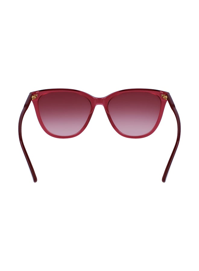 Longchamp Women's UV Protection Sunglasses - LO718S-601-5616 - Lens Size: 56 Mm  - Image 4