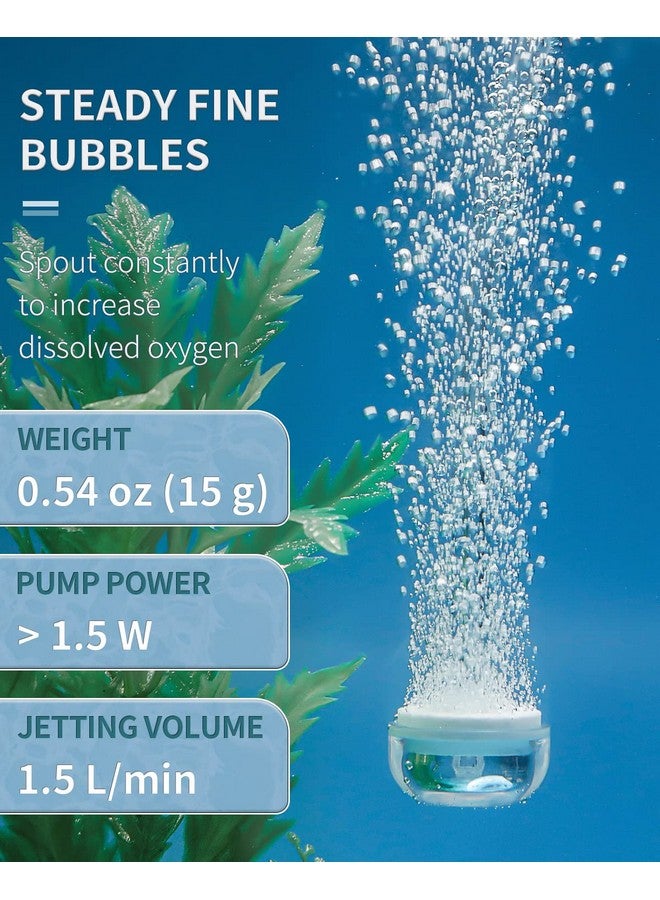باوفلي قرص حجر هواء لحوض السمك من Pawfly، مجموعة حجر هواء لحوض السمك الصغير مقاس 0.9 بوصة، حجر هواء فائق الذوبان مع ملحقات لحوض السمك ودلو صغير (المضخة والأنابيب غير متضمنة) - Image 2