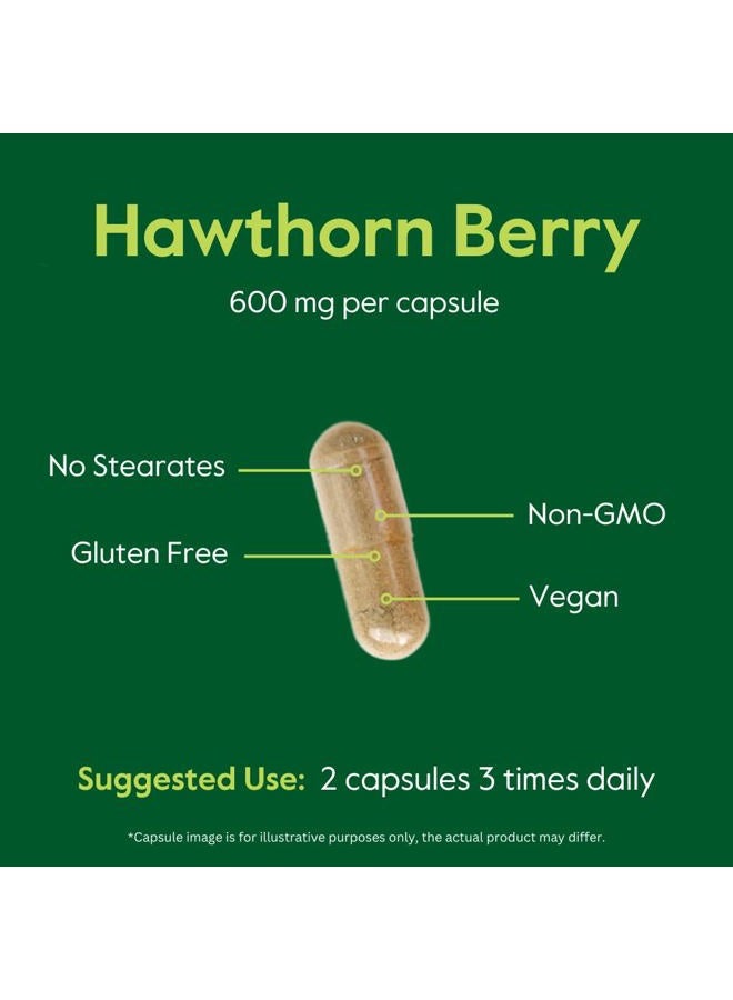 BESTVITE Hawthorn Berry 600mg per Capsule (240 Vegetarian Capsules) - No Stearates - No Fillers - Vegan - Non GMO - Gluten Free - Image 5