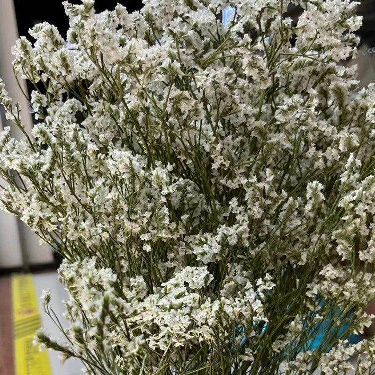 Bluejw Limonium & Crystal Grass Dried Flowers for Wedding Home Decor - Natural White Pink Preserved Plants Floral Arrangement - Image 1
