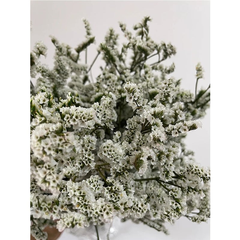 Bluejw Limonium & Crystal Grass Dried Flowers for Wedding Home Decor - Natural White Pink Preserved Plants Floral Arrangement - Image 3