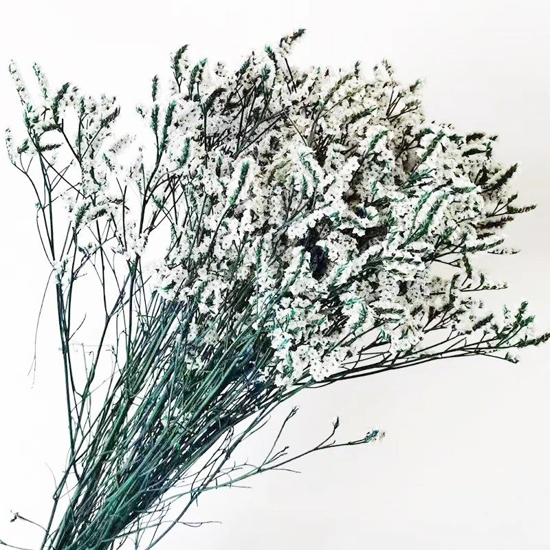Bluejw Limonium & Crystal Grass Dried Flowers for Wedding Home Decor - Natural White Pink Preserved Plants Floral Arrangement - Image 2