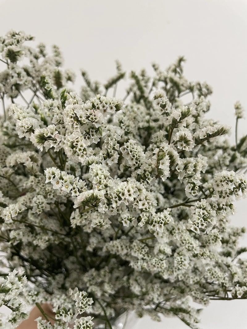 Bluejw Limonium & Crystal Grass Dried Flowers for Wedding Home Decor - Natural White Pink Preserved Plants Floral Arrangement - Image 5