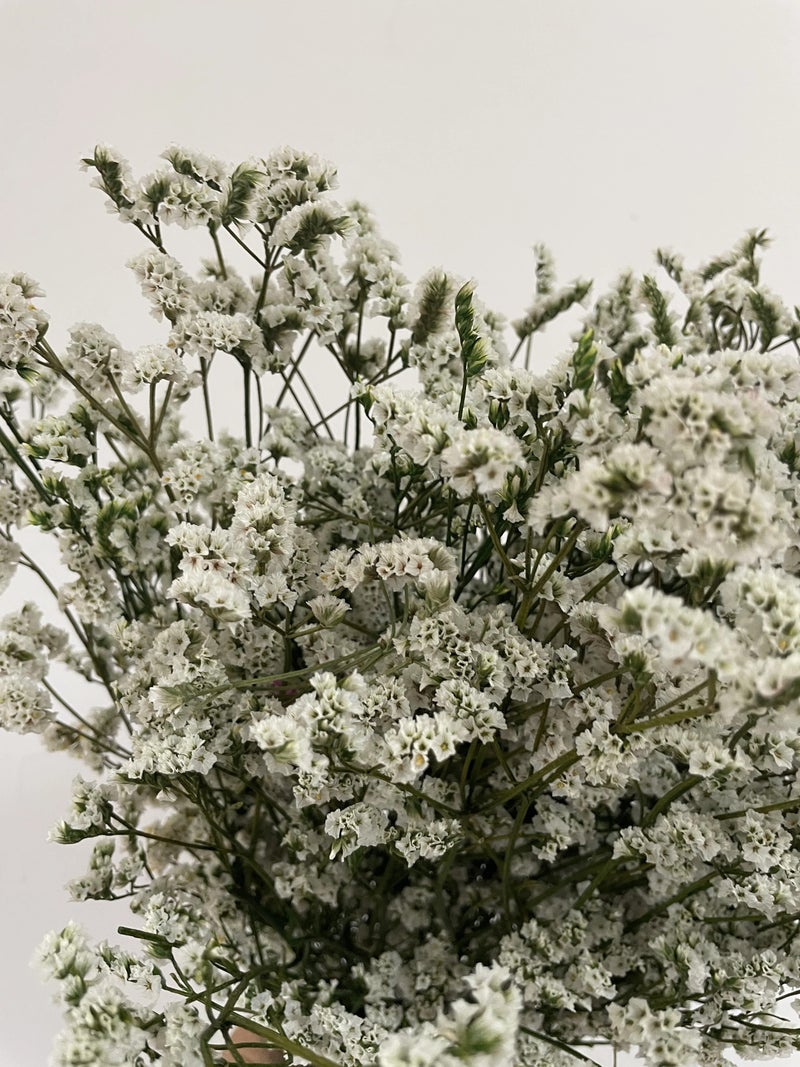 Bluejw Limonium & Crystal Grass Dried Flowers for Wedding Home Decor - Natural White Pink Preserved Plants Floral Arrangement - Image 4
