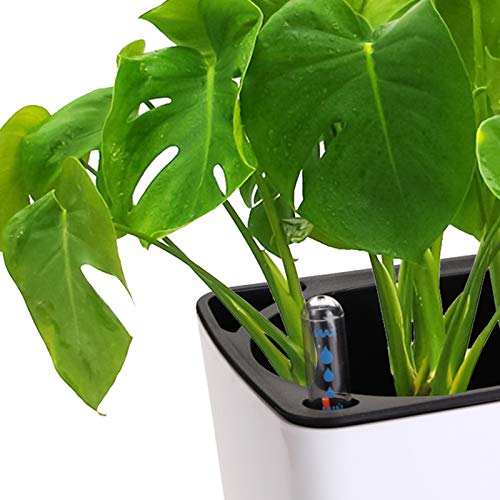 Fasmov 2 Pack Rectangle Self Watering Planter with Water Level Indicator, 16x 5.5 Inch Window Gardening Box, Decorative Planter Pot for All House Plants Flowers Herbs, Decorative Planter Pot - Image 2