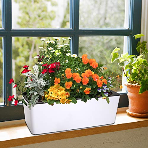 Fasmov 2 Pack Rectangle Self Watering Planter with Water Level Indicator, 16x 5.5 Inch Window Gardening Box, Decorative Planter Pot for All House Plants Flowers Herbs, Decorative Planter Pot - Image 4
