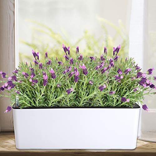 Fasmov 2 Pack Rectangle Self Watering Planter with Water Level Indicator, 16x 5.5 Inch Window Gardening Box, Decorative Planter Pot for All House Plants Flowers Herbs, Decorative Planter Pot - Image 5