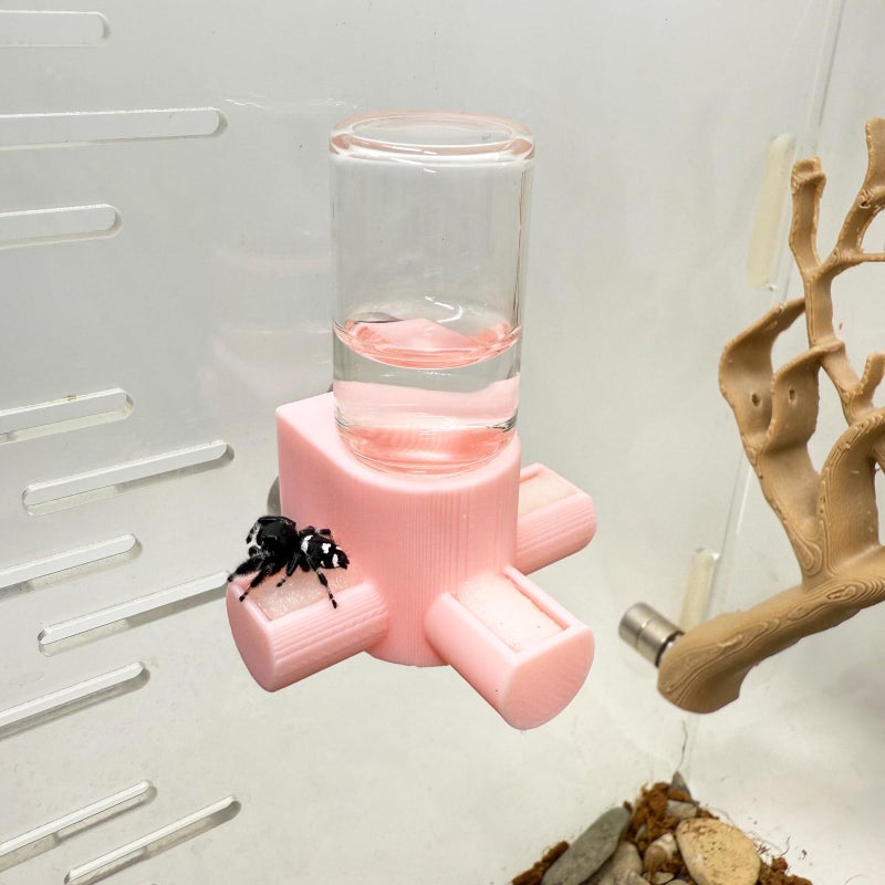 Daerky Jumping Spider Water Dispenser, Magnetic Hanging Feeder,Suitable for Jumping Spiders,Tarantulas, Praying Mantises,Arboreal Animals, and Other Small Animal Enclosure Accessories (Pink, 5ML) - Image 1