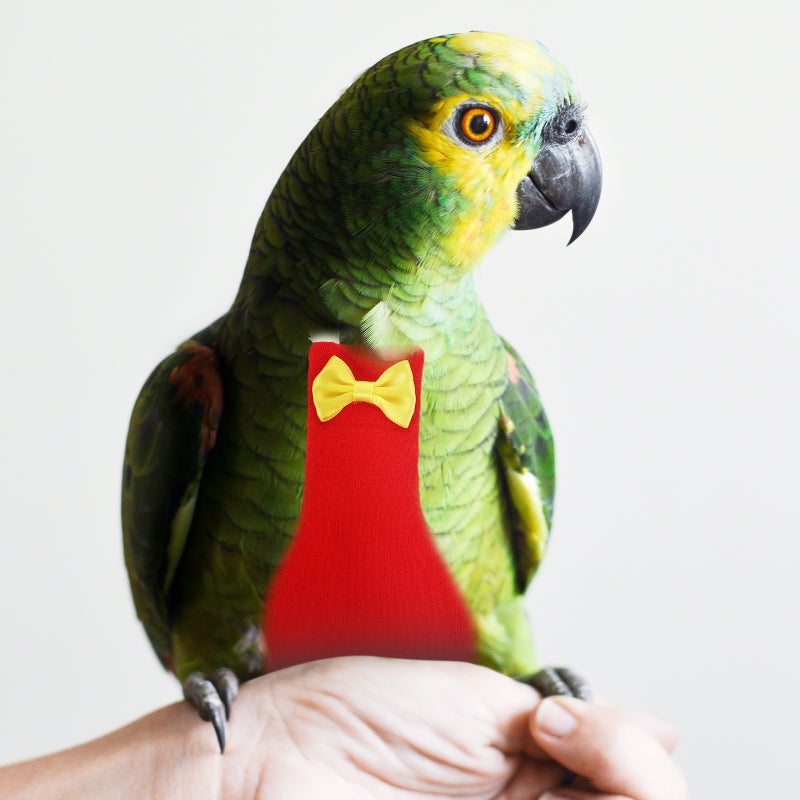 Bird Diaper Flight Parrot Liner Reusable Protective Parrot Birds Clothing Accessory - Image 3