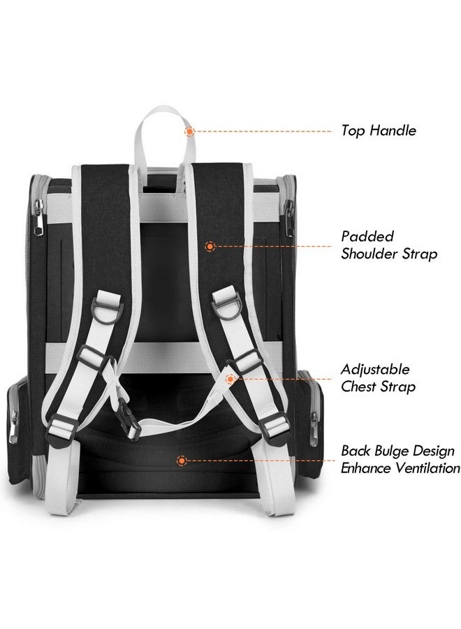 SSAWcasa Cat Backpack Carrier, Large Pet Backpack with Kitten Wand Feather Toy for Medium Small Dog Cat Puppy Kitty Bunny up to 15lbs, Ventilated Mesh Dog Travel Carrier for Hiking Walking Outdoor Use (Black) - Image 3