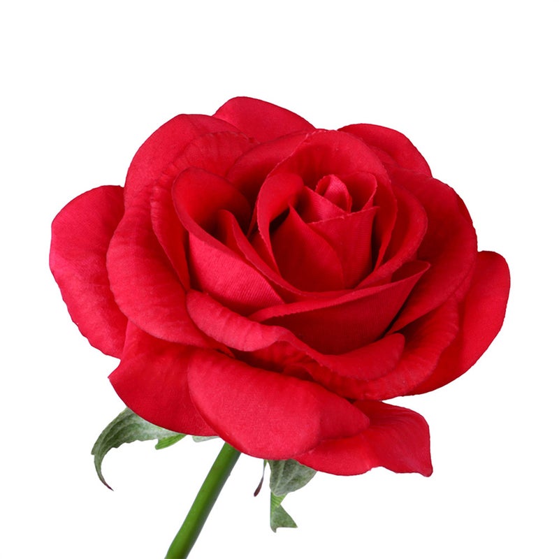 Rose with String Light Preserved in Glass Dome on Base for Valentine - Batteries Not Included (Brown Base) - Image 5