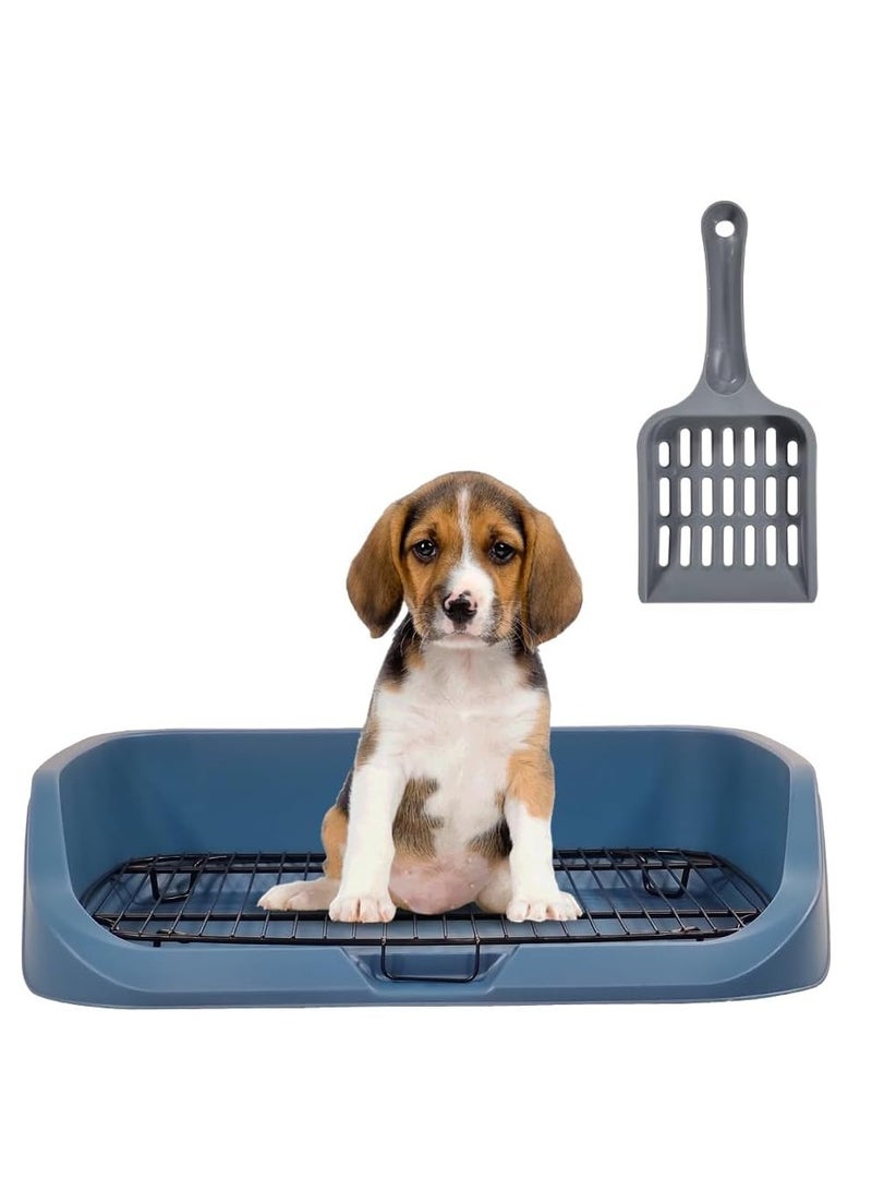 NNC PETS Pet potty training tray with Detachable stainless steel grid, Raised fence, Durable plastic, and Shovel, 53 cm Dog toilet for small to medium dogs, Ideal for Indoor/outdoor use. Easy to clean, (Blue) - Image 1