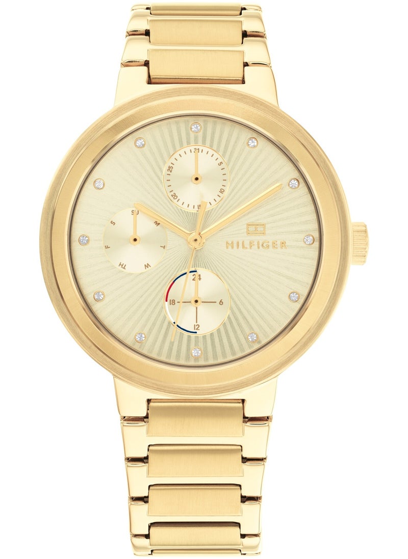 Tommy Hilfiger Plus Women's Analogue Quartz Watch-1782536 36MM  - Image 1