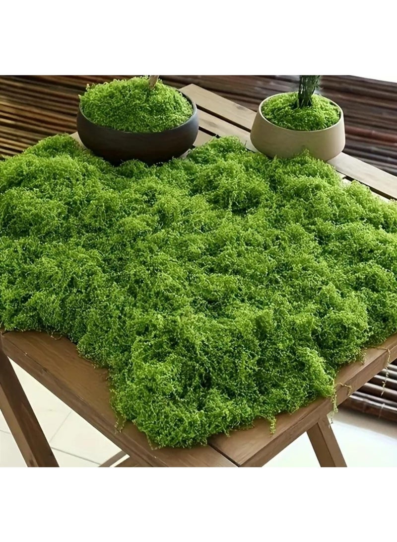 إل ديس حصيرة طحالب خضراء صناعية بتصميم بوهيمي – مصنوعة من ألياف مطاطية متينة، مثالية لتزيين حدائق الجنيات الصغيرة، وأحواض البونساي والنباتات العصارية، مناسبة للاستخدام الداخلي والخارجي، خالية من الصيانة ومثالية لتزيين الحدائق - Image 1