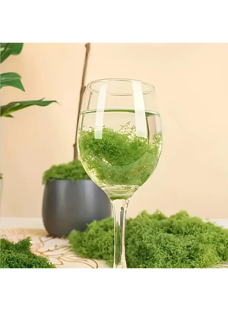 إل ديس حصيرة طحالب خضراء صناعية بتصميم بوهيمي – مصنوعة من ألياف مطاطية متينة، مثالية لتزيين حدائق الجنيات الصغيرة، وأحواض البونساي والنباتات العصارية، مناسبة للاستخدام الداخلي والخارجي، خالية من الصيانة ومثالية لتزيين الحدائق - Image 2