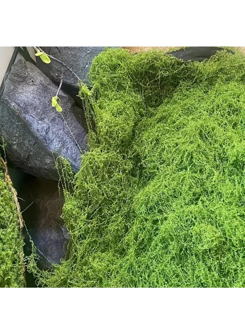 إل ديس حصيرة طحالب خضراء صناعية بتصميم بوهيمي – مصنوعة من ألياف مطاطية متينة، مثالية لتزيين حدائق الجنيات الصغيرة، وأحواض البونساي والنباتات العصارية، مناسبة للاستخدام الداخلي والخارجي، خالية من الصيانة ومثالية لتزيين الحدائق - Image 5
