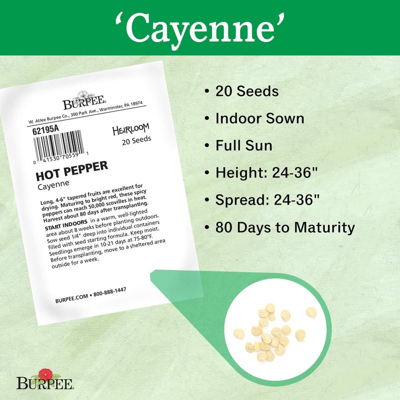 Burpee Cayenne Hot Pepper Seeds 20 seeds - Image 3
